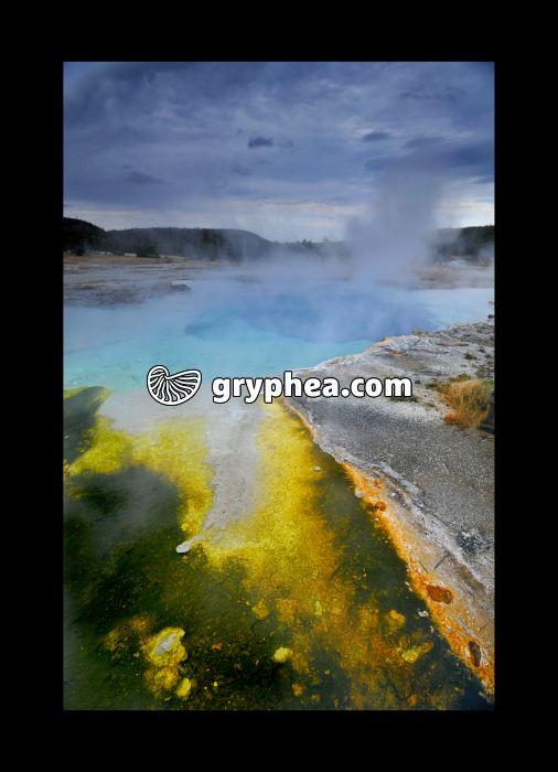Saphyr Pool (Yellowstone NP, USA) - gryphea.com